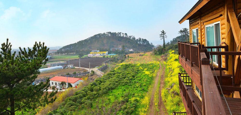 Attene Pension Jeju Exterior photo